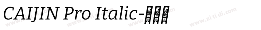 CAIJIN Pro Italic字体转换
